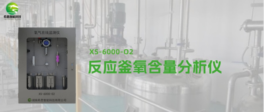 反應釜氧含量分析儀的應用
